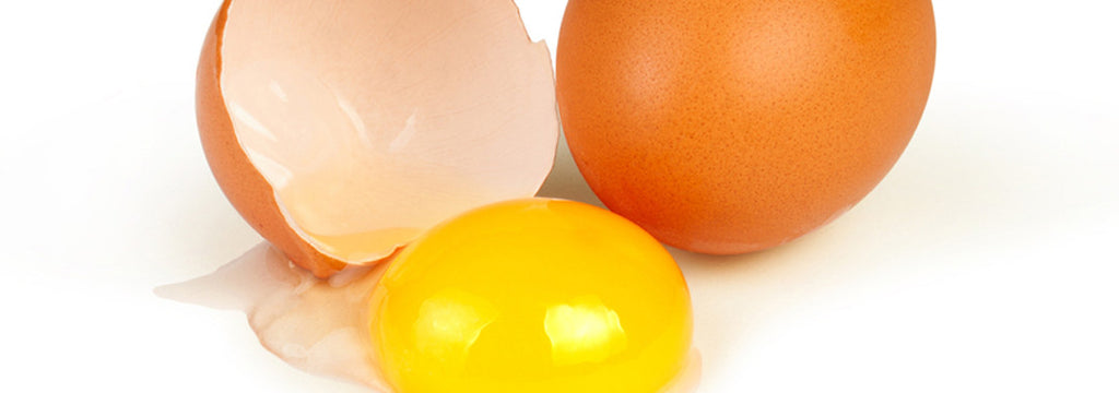 Can Egg Yolks Help People with Celiac Disease?