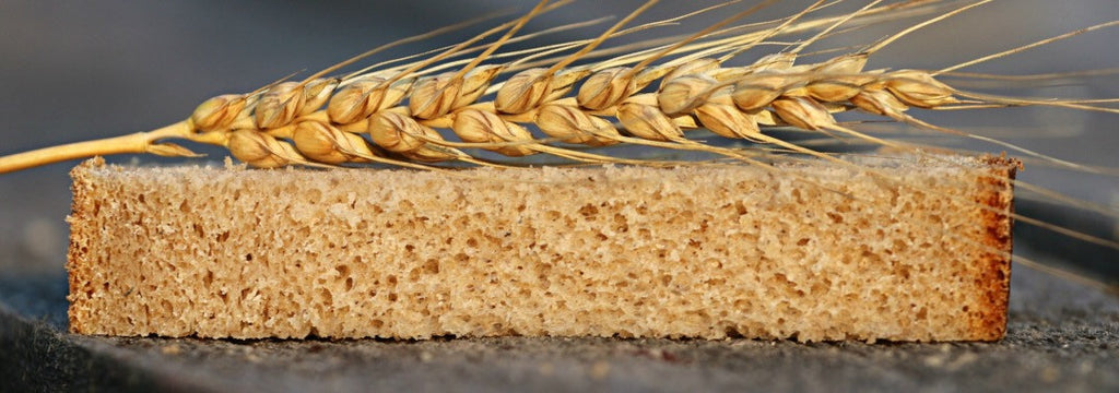 Research Confirms Biological Explanation for Non-Celiac Wheat Sensitivity