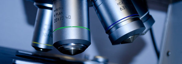 Celiact First Licensed Celiac Treatment Heads to Phase 3 Trials – CeliAct
